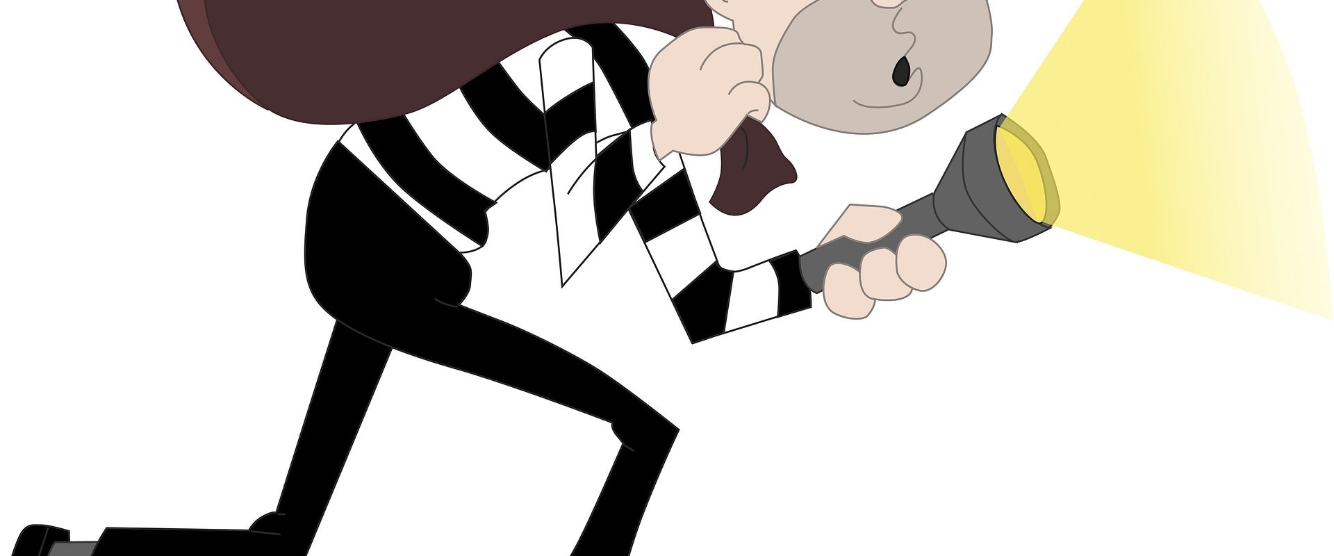 burglar-g8901d91cd_1920
