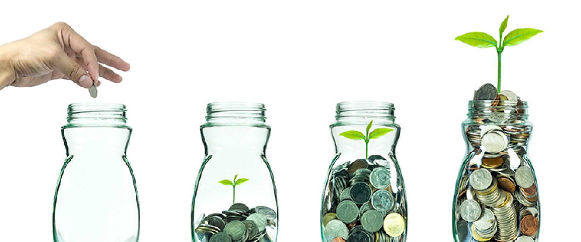 Mix coins and seed in clear blottle on white background,Business investment growth concept